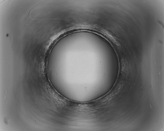 X0000102781264200809021044