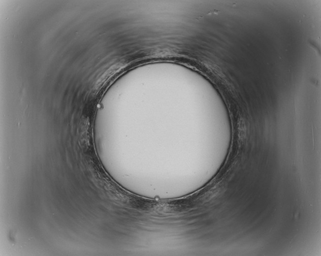 X0000102781265200809021044