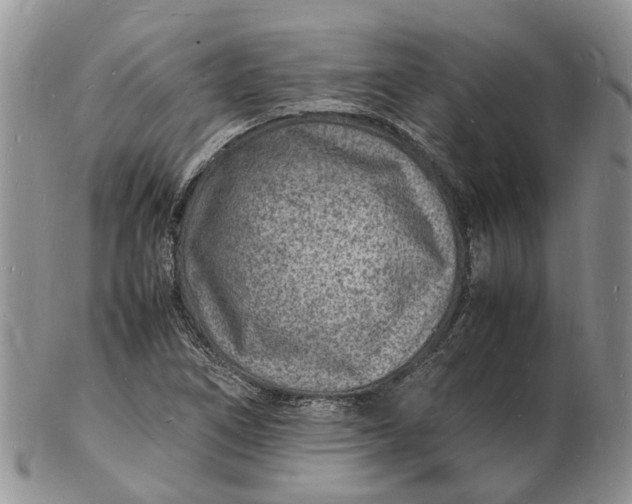 X0000102781266200809021044