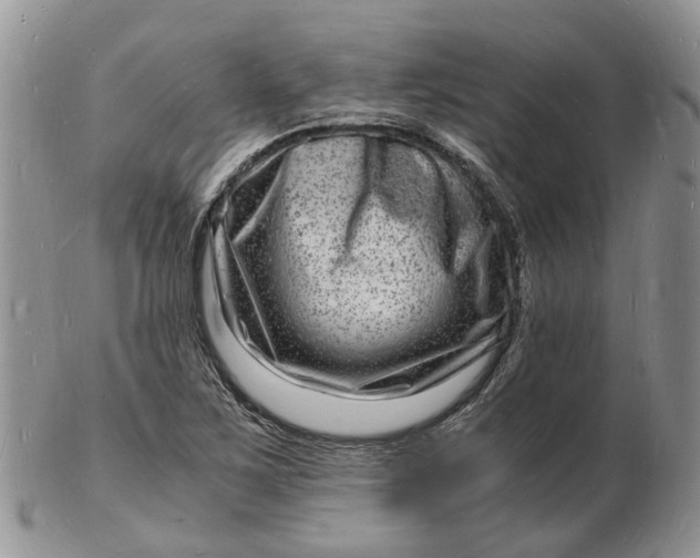 X0000102781267200809021044