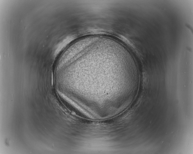 X0000102781269200809021044