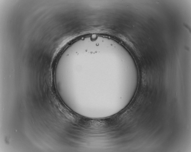 X0000102781270200809021044