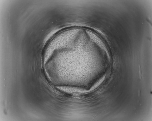 X0000102781271200809021044