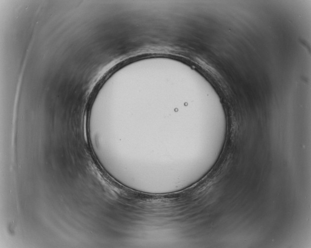 X0000102781272200809021044