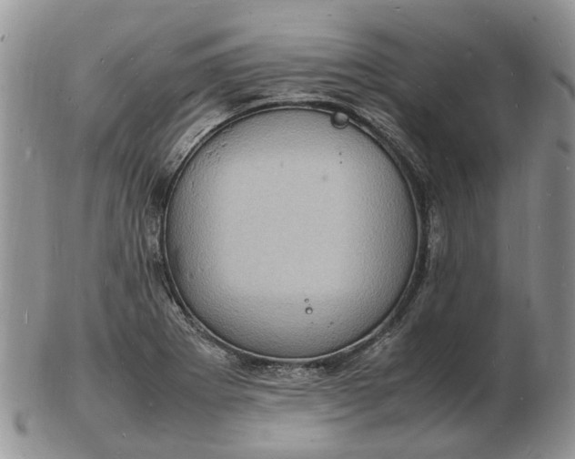 X0000102781273200809021044