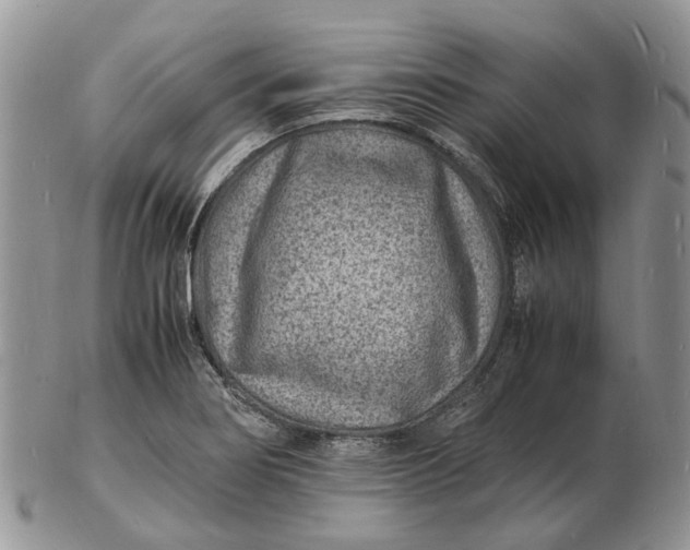 X0000102781274200809021044