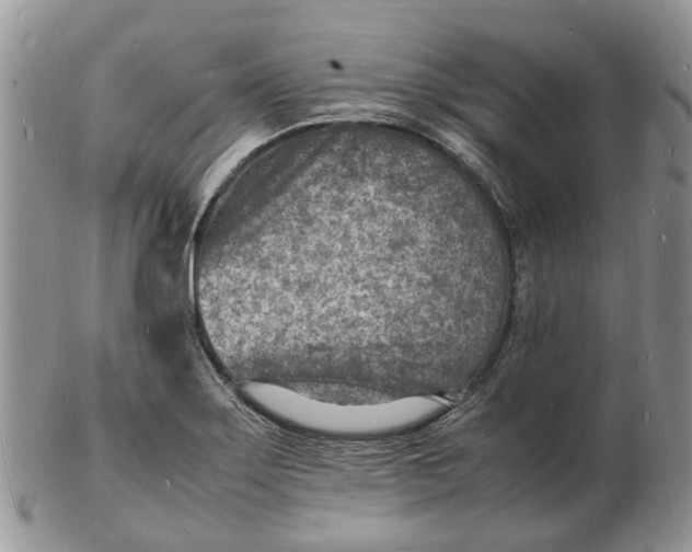 X0000102781275200809021044