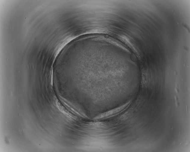 X0000102781276200809021044