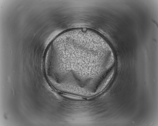 X0000102781277200809021044