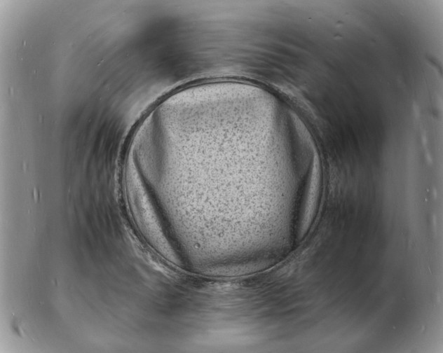 X0000102781278200809021044