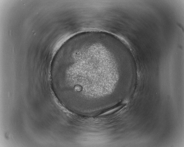 X0000102781279200809021044