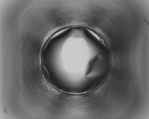 X0000102781280200809021044