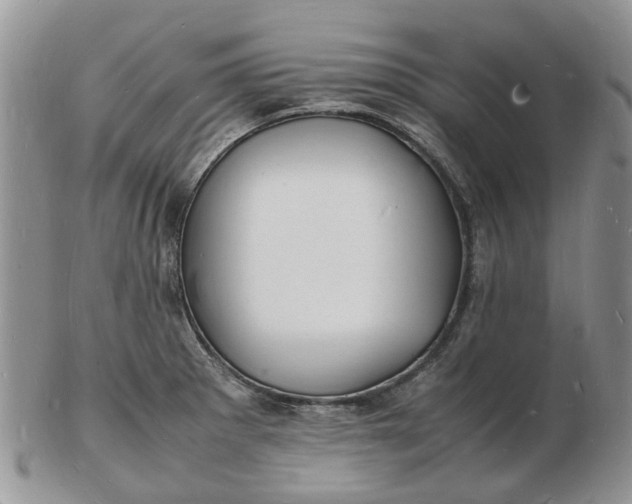 X0000102781281200809021044