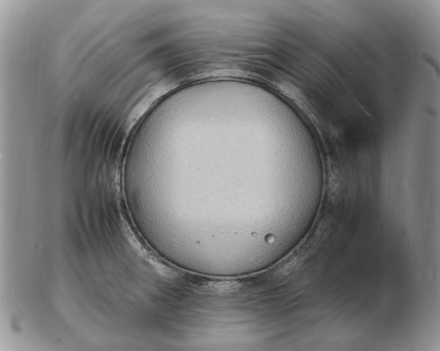 X0000102781282200809021044