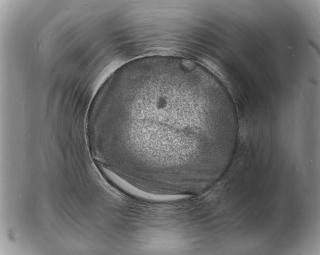 X0000102781283200809021044