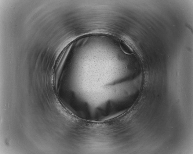 X0000102781284200809021044