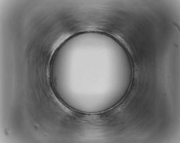 X0000102781285200809021044