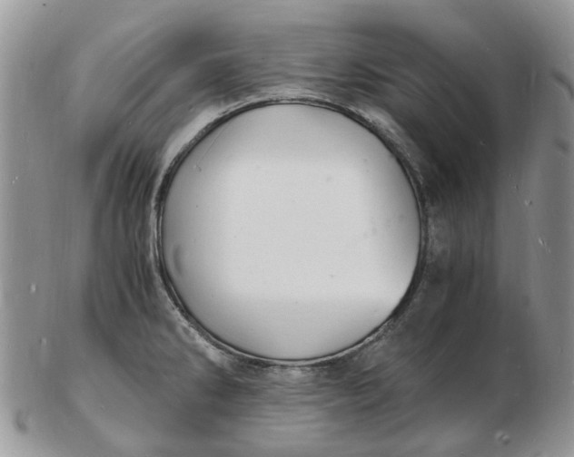 X0000102781286200809021044