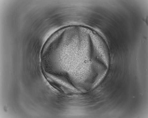 X0000102781287200809021044