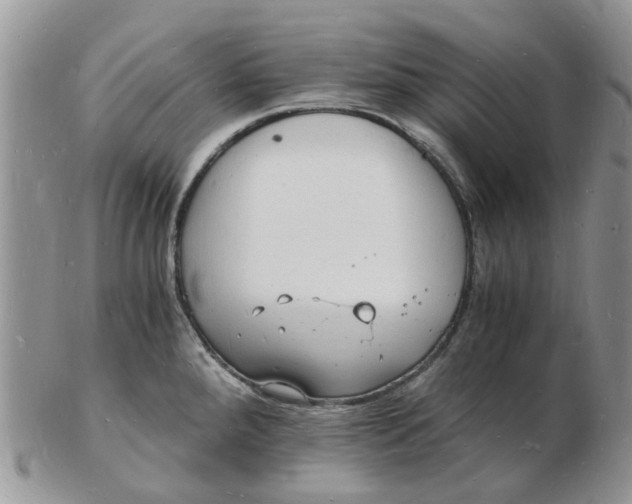 X0000102781288200809021044