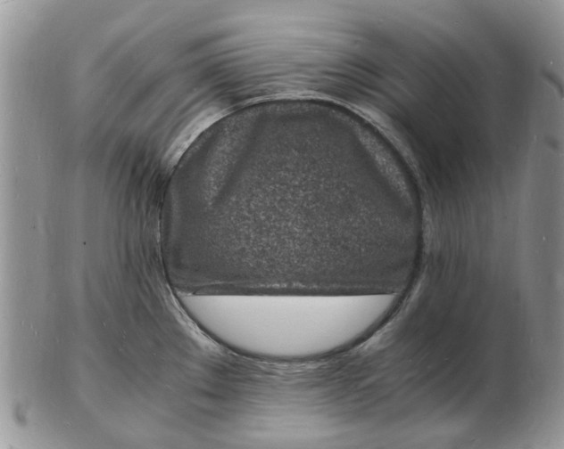 X0000102781289200809021044