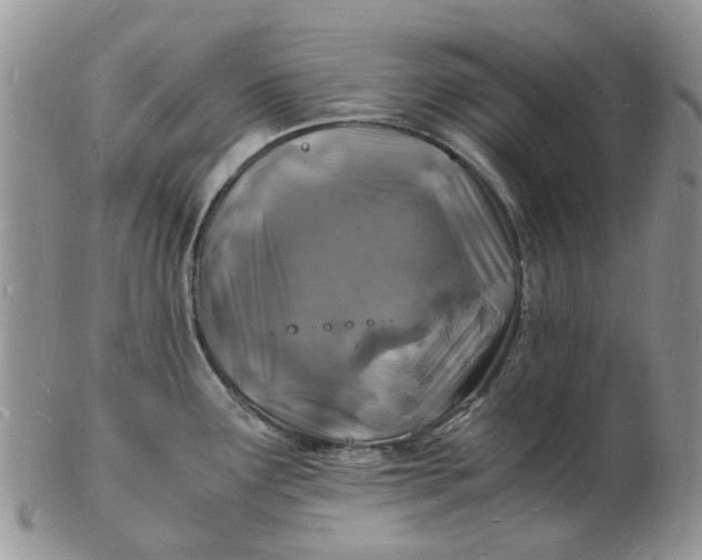 X0000102781291200809021044