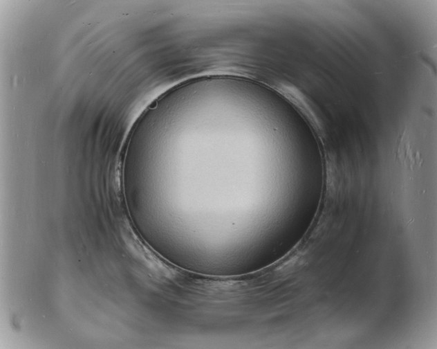 X0000102781292200809021044