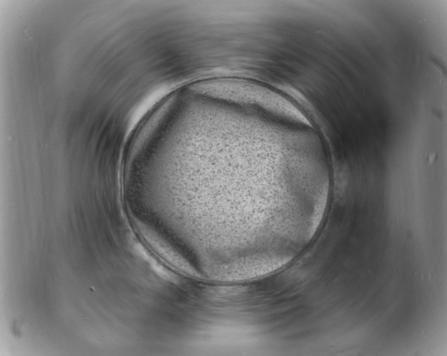 X0000102781294200809021044