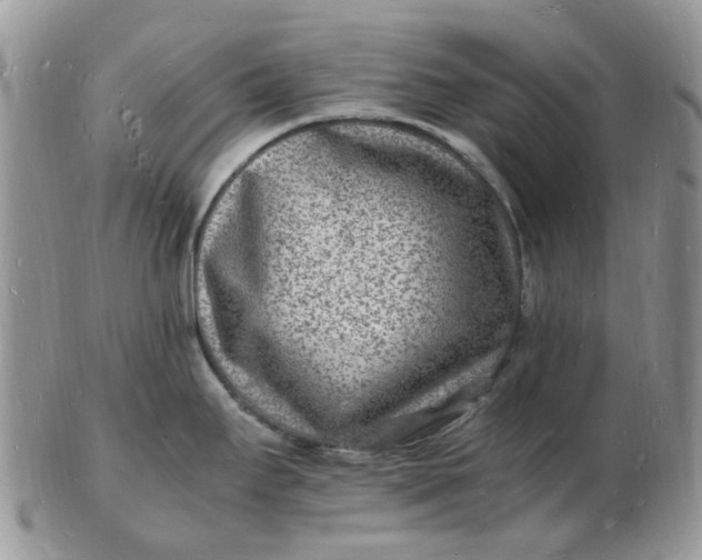 X0000102781295200809021044