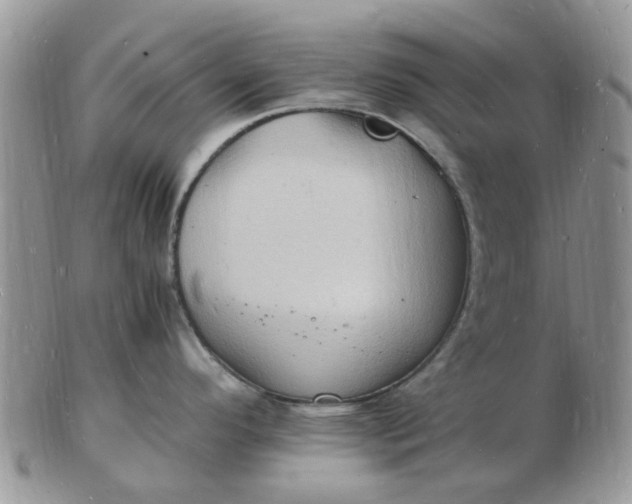 X0000102781296200809021044