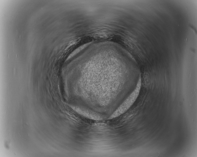 X0000102781297200809021043