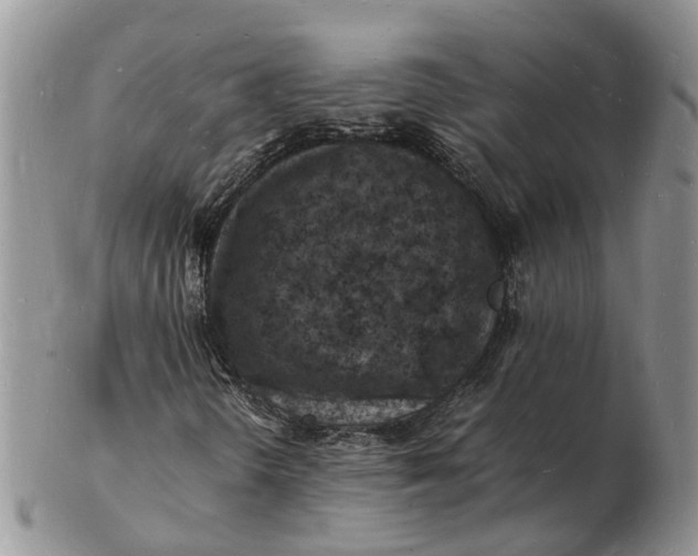 X0000102781298200809021043