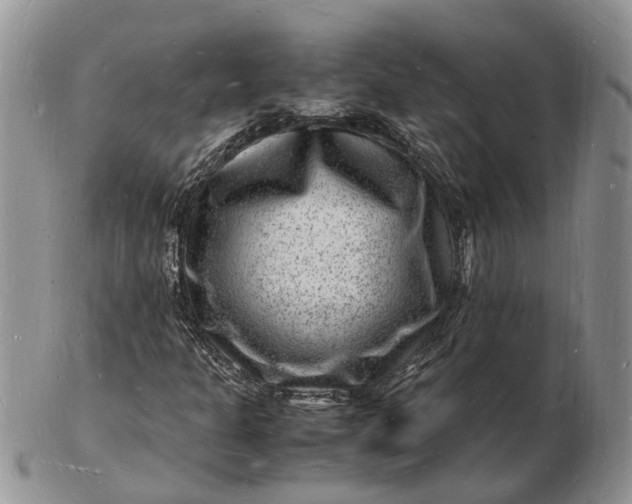 X0000102781301200809021043