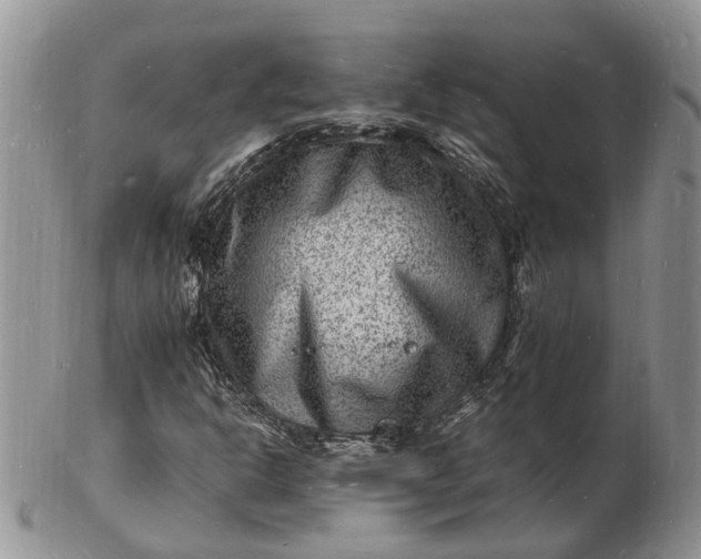 X0000102781302200809021043