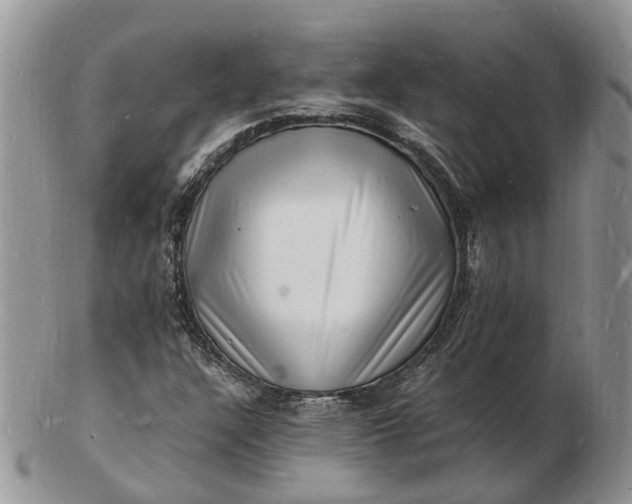 X0000102781304200809021043