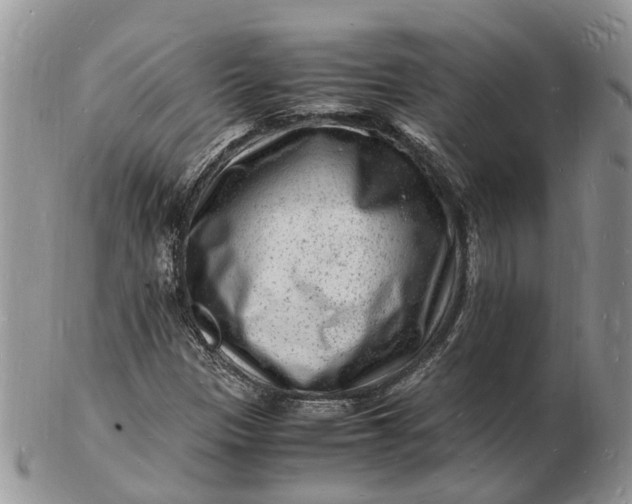 X0000102781305200809021043