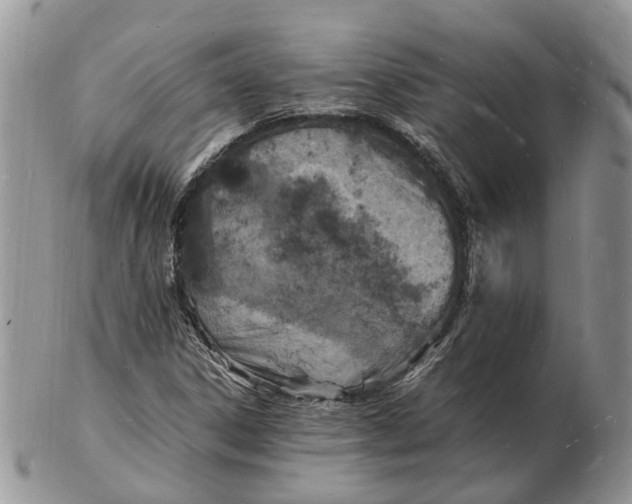 X0000102781306200809021043