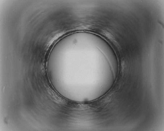 X0000102781308200809021043