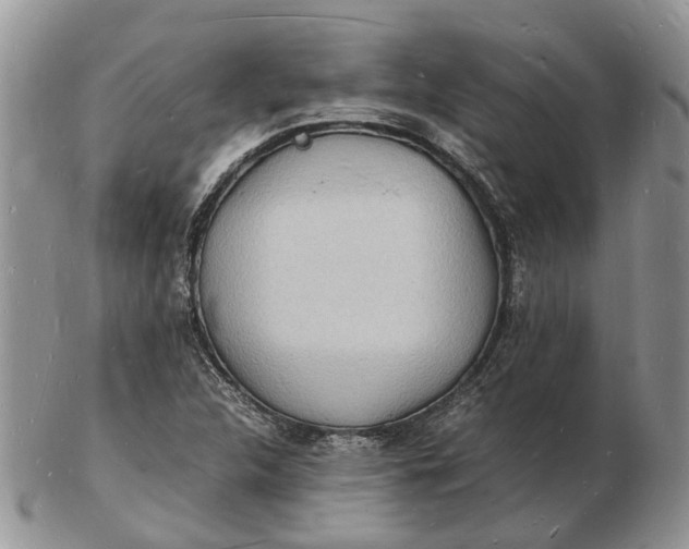 X0000102781312200809021043