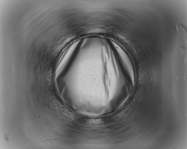 X0000102781313200809021043