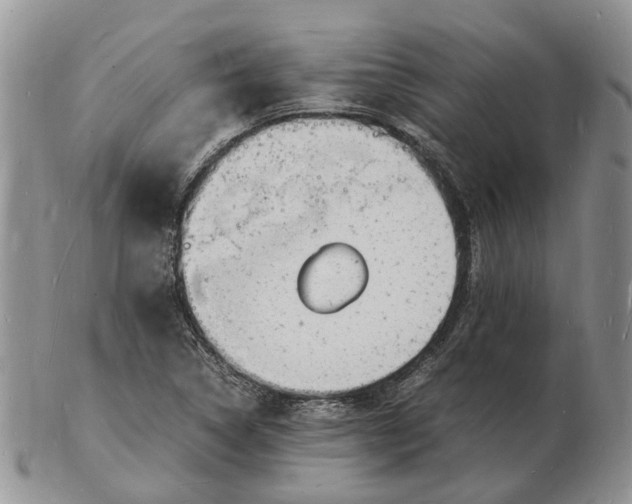 X0000102781314200809021043