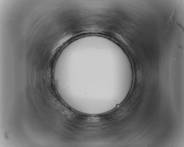 X0000102781315200809021043