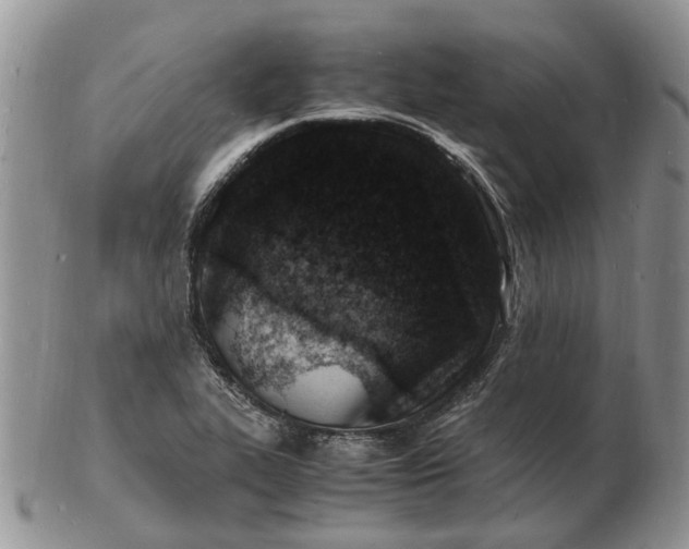 X0000102781319200809021043