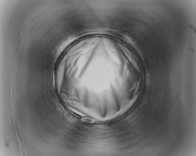 X0000102781320200809021043