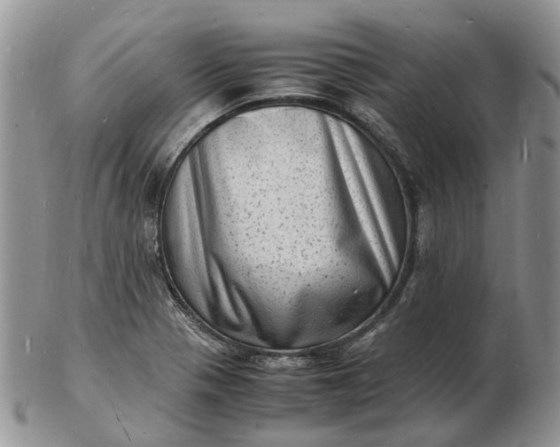 X0000102781321200809021043