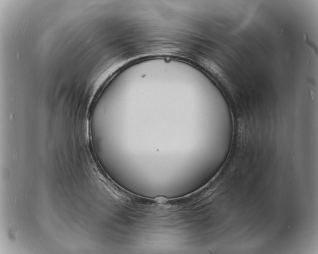 X0000102781324200809021043