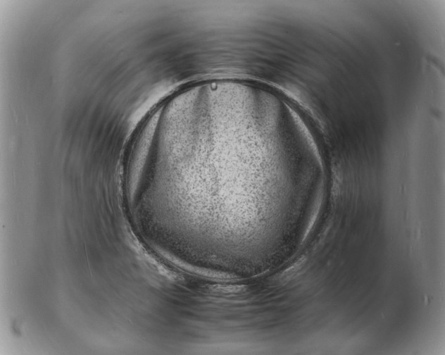 X0000102781325200809021043