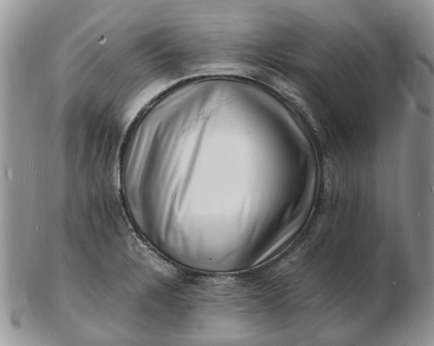 X0000102781328200809021043