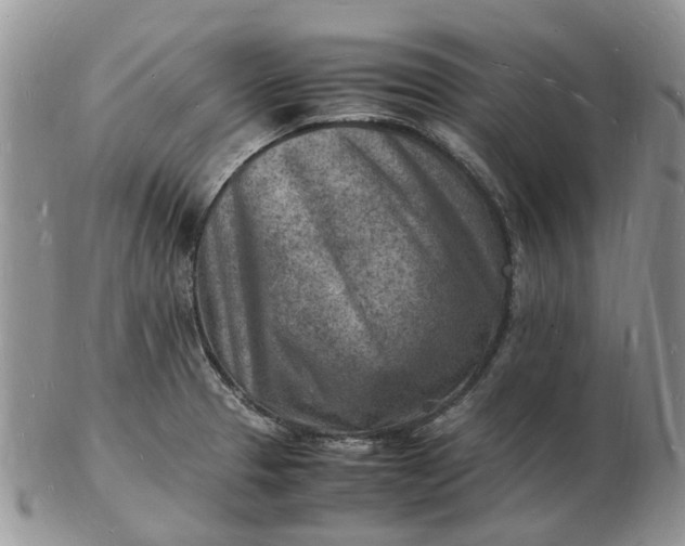 X0000102781329200809021043