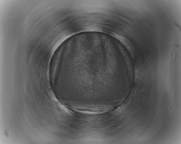 X0000102781331200809021043